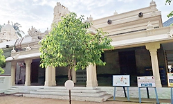 ತಿರುವಣ್ಣಾಮಲೈನ ಶ್ರೀ ರಮಣರ ಆಶ್ರಮ; ಶಾಂತಿ ಬಯಸಿ ಬರುವವರ ತಂಗುದಾಣ