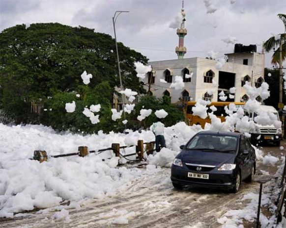 bellandur-lake.jpg