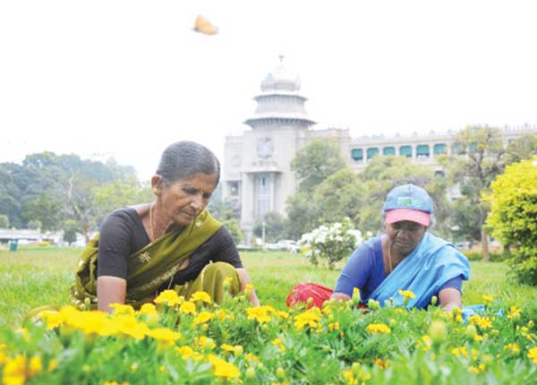 work-vidhanasoudha.jpg