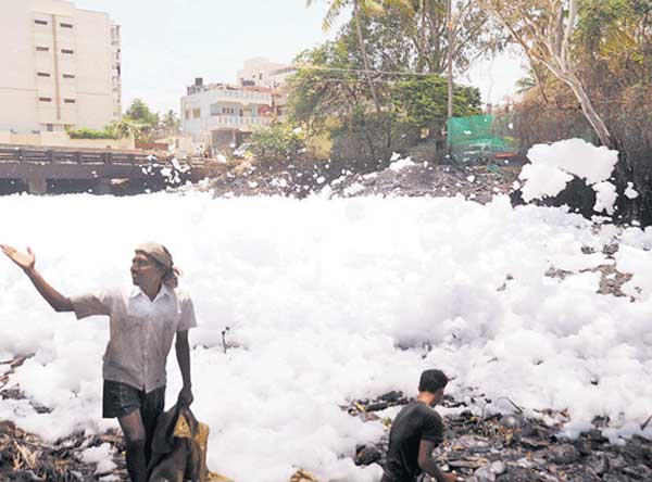 bellandur-lake.jpg