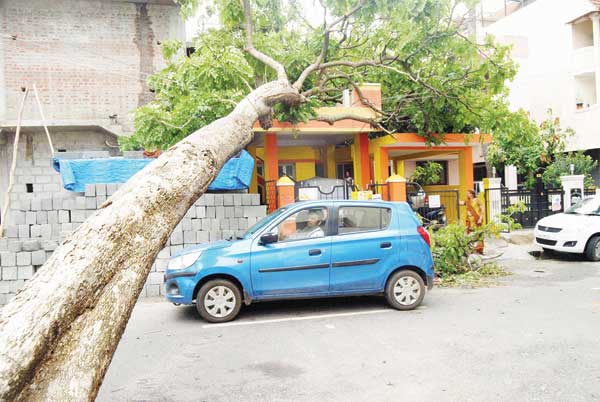 banglore-rain-story.jpg