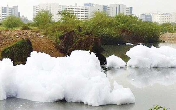 bellandur-lake.jpg