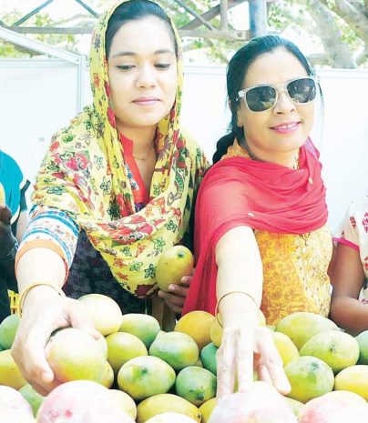 mango-mela.jpg