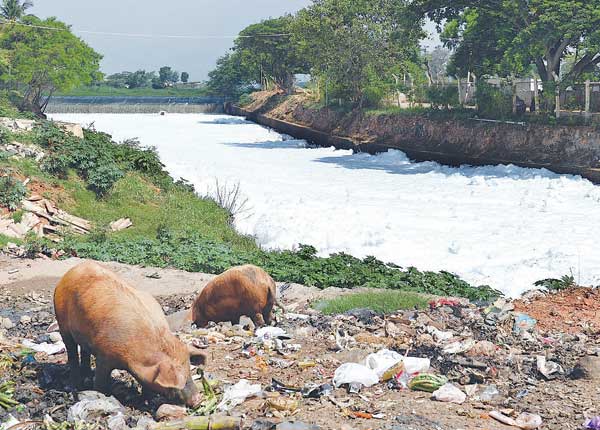 BELLANDUR.jpg