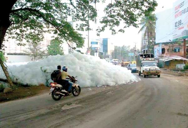 Bellandur-Lake.jpg