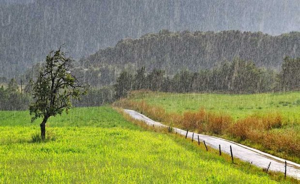 landscape_in_the_rain_it_wa.jpg