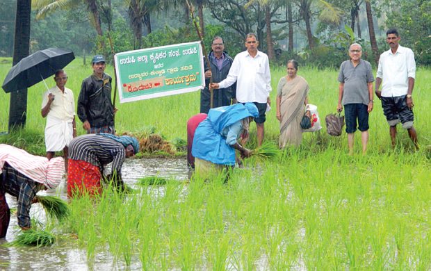 batta-krishi.jpg