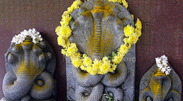 Nagara-Panchami-25-7.jpg