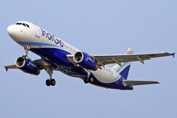 INDIGO-PLANE-700.jpg