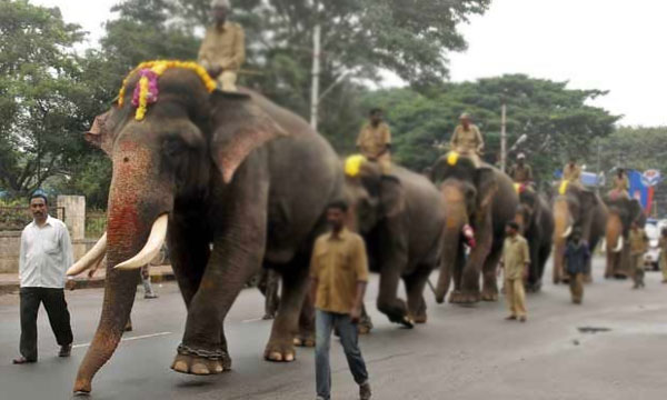 Mysore-Dasara-Jubilee.jpg