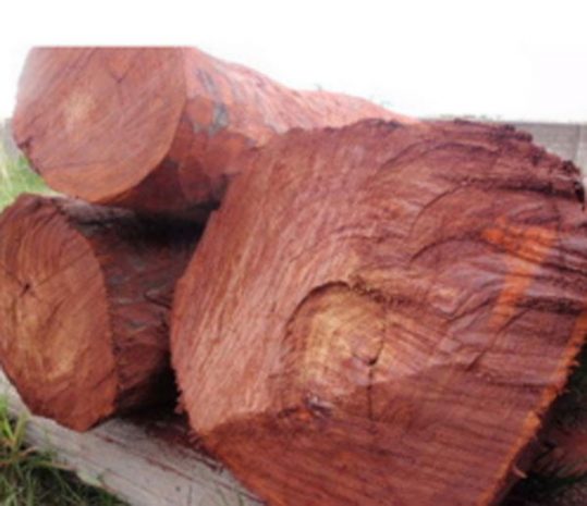 red-sandalwood-250×250.jpg