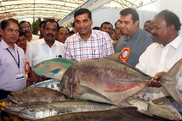 fish-mela.jpg