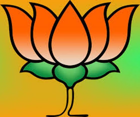 102_01_31_22_bjp_logo.jpg