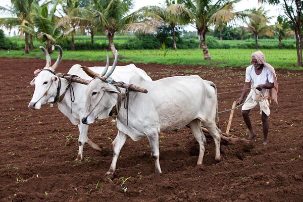 farmer-plough.jpg