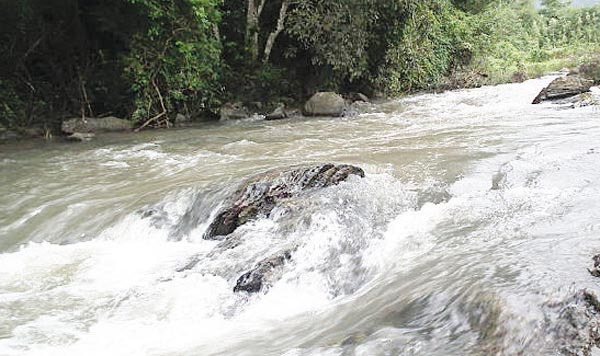 Cauvery-water-pollution,-Ka.jpg