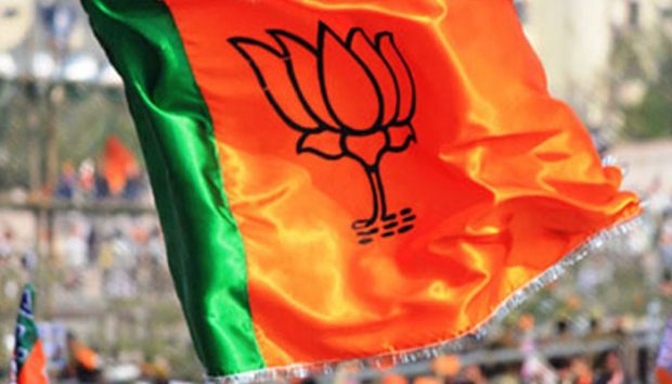 bjp-flag-700.jpg