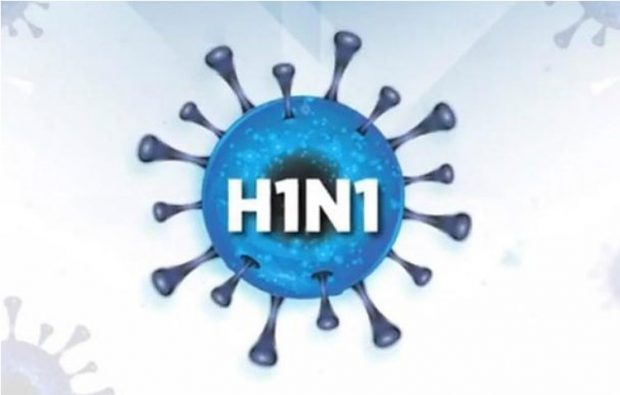 h1n1.jpg