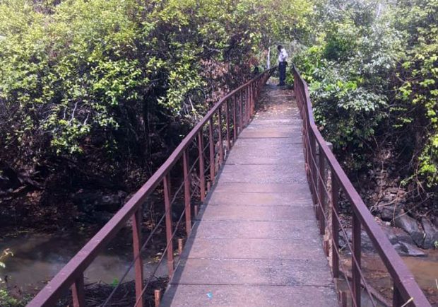 bola-hang-bridge