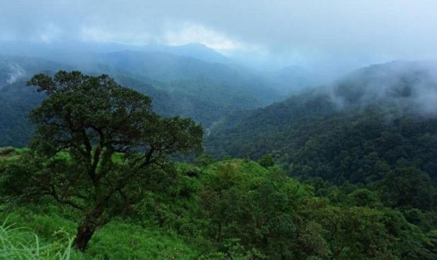 Western-Ghats