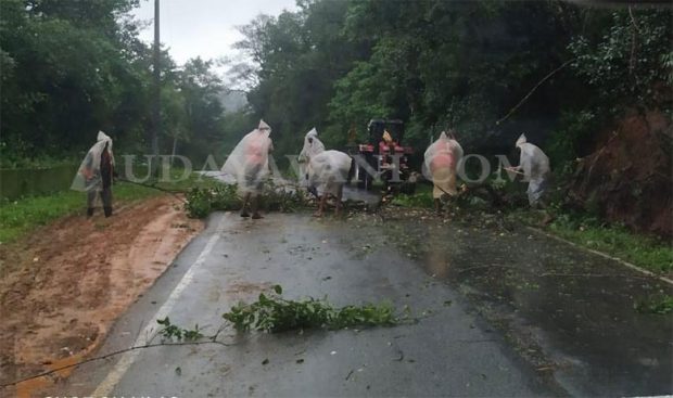 Charmadi ghat road fallen trees