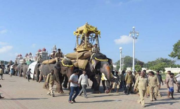 Arjun-Elephant