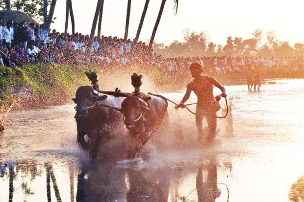 MANUR-KAMBALA