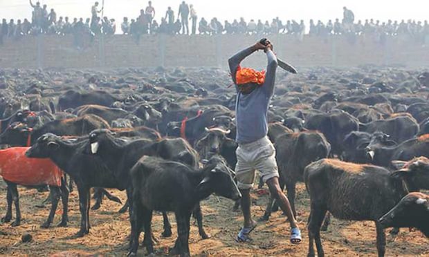 Festival-Nepal