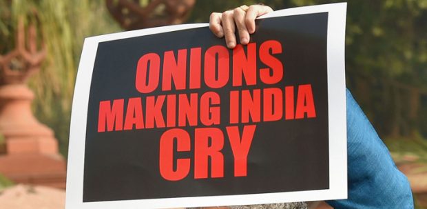 Onion-Placard-730