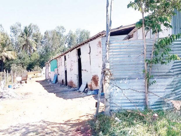 bangladeshi-shed