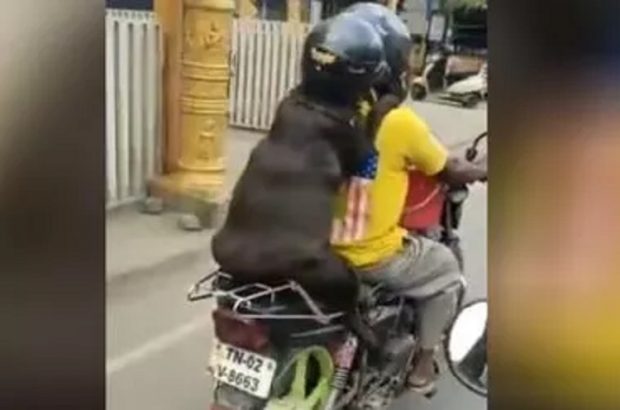 Video of dog wearing helmet while riding on bike goes viral, internet ...