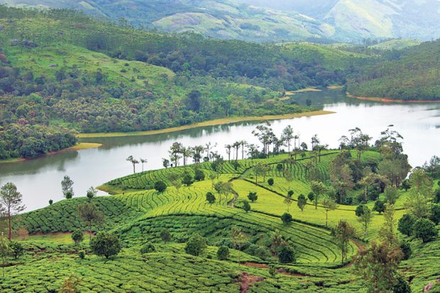 munnar