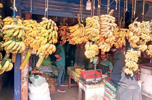 ಬಾಳೆ ಹಣ್ಣಿನ ರಾಜ ನೇಂದ್ರಬಾಳೆ ಹಣ್ಣು ಅಗ್ಗ !