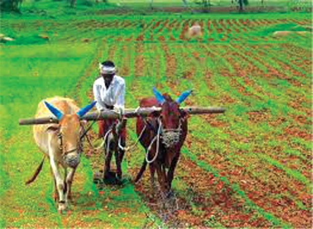 ರೈತರಿಗೆ ಗ್ರೀನ್‌ಪಾಸ್‌ ವ್ಯವಸ್ಥೆ: ಪಾಟೀಲ್‌