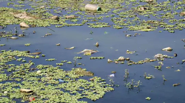 ಕೈಗಾರಿಕೆಗಳು ಸ್ತಬ್ಧ; ಕೆರೆಗಳು ಶುದ್ಧ