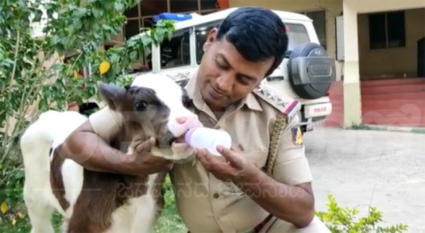 ಇನ್ ಸ್ಪೆಕ್ಟರ್ ಮಹಮ್ಮದ್ ರಫಿಯ ನೆಚ್ಚಿನ ‘ಭೀಮ’!; ಈತನೀಗ ಬೈಯಪ್ಪನಹಳ್ಳಿ ಠಾಣಾಪೊಲೀಸರ ಕಣ್ಮಣಿ