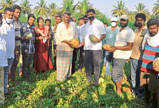 ರೈತರಿಂದ ನೇರವಾಗಿ ತರಕಾರಿ ಖರೀದಿ