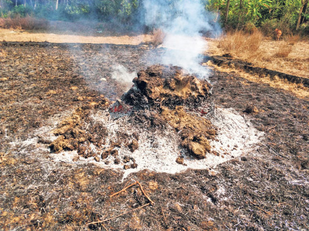 ಮುಂದಿನ ಋತುವಿನ ಸಿದ್ಧತೆಯಲ್ಲಿ ಸೇವಂತಿಗೆ ಕೃಷಿಕರು