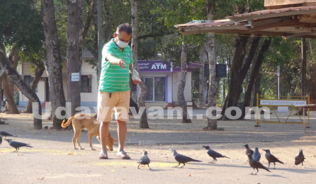 ಆನೆಗುಡ್ಡೆ :ಪ್ರಾಣಿ , ಪಕ್ಷಿಗಳಿಗೆ ಆಹಾರ ನೀಡುತ್ತಿರುವ ಪರಿಸರವಾದಿ ಕೊರ್ಗಿ ವಿಠಲ್‌ ಶೆಟ್ಟಿ