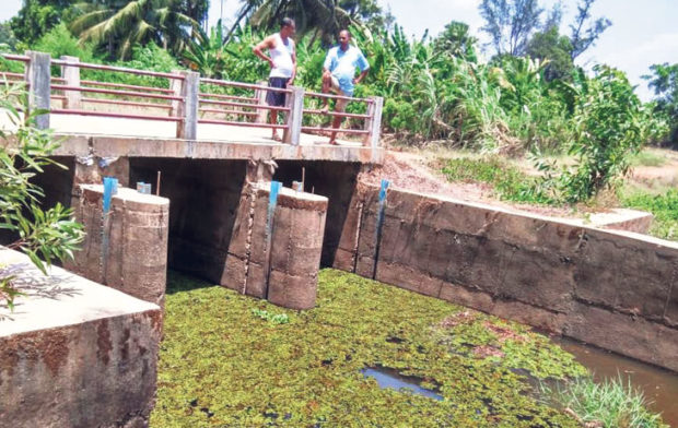 ಈಡೇರಿದ ರೈತರ ದಶಕಗಳ ಬೇಡಿಕೆ