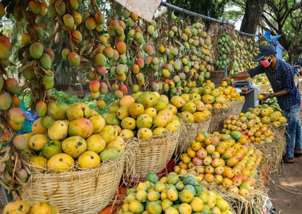 ಅಂತರ ಕಾಯ್ದುಕೊಂಡು ಮಾವು-ಹಲಸು ಮೇಳ