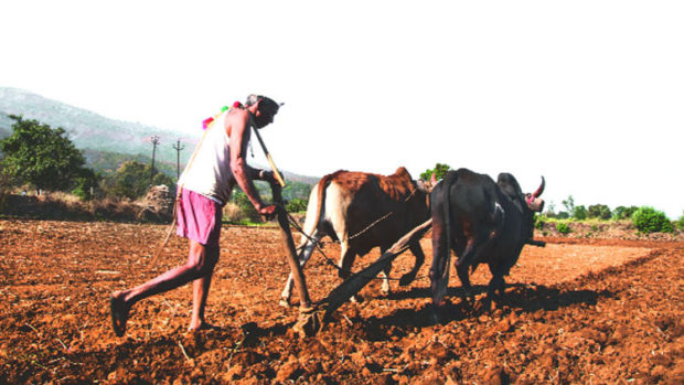 ರೈತರಿಗೆ ಗಾಯದ ಮೇಲೆ ಬರೆ: ರೈತಗಿಲ್ಲ ಶೂನ್ಯ ಬಡ್ಡಿ ಸಾಲ, ಈಗ ಕುಟುಂಬಕ್ಕೆ ಮಾತ್ರ