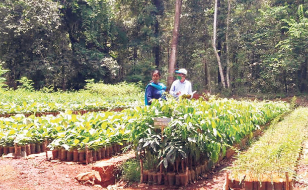 ಅರಣ್ಯ ಇಲಾಖೆಯಿಂದ 35 ಸಾವಿರ ಗಿಡಗಳ ವ್ಯವಸ್ಥೆ