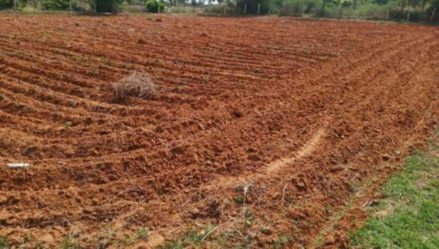 ಮುಂಗಾರು ಹಂಗಾಮಿನ ಕೃಷಿ ಚಟುವಟಿಕೆ ಆರಂಭ