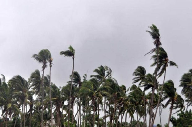 ಕರಾವಳಿಯ ವಿವಿಧೆಡೆಗಳಲ್ಲಿ ಉತ್ತಮ ಮಳೆ