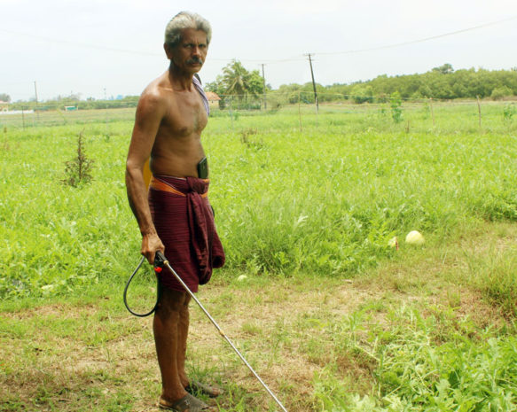 ಕಡಿಮೆ ಖರ್ಚು; ಮಣ್ಣಿಗೂ ಆರೋಗ್ಯಕ್ಕೂ ಪೂರಕ