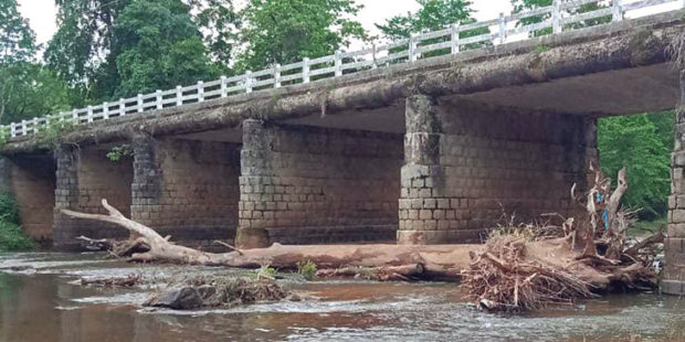 ಯೇನೆಕಲ್ಲು: ಸೇತುವೆಯಡಿ ಮರದ ದಿಮ್ಮಿ; ಕೃತಕ ನೆರೆ ಭೀತಿ!