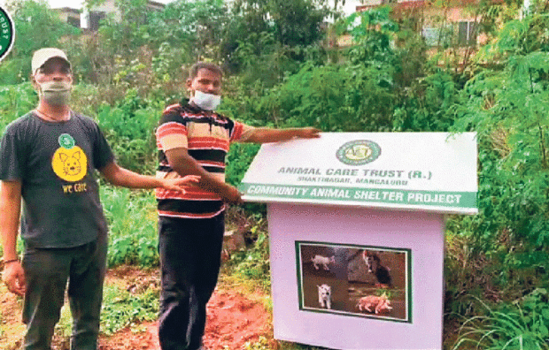 ಮಳೆಯಿಂದ ರಕ್ಷಿಸಲು ಶ್ವಾನಗಳಿಗೆ ಆಶ್ರಯ ಗೂಡು