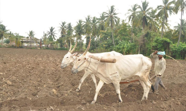 ಬಿತ್ತನೆಗೆ ಸಿದ್ಧತೆ: ಮಳೆ ಕೊರತೆ