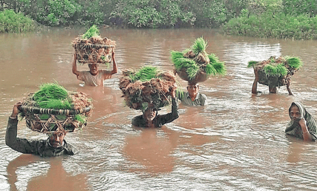 ಮಣೂರು: ಇನ್ನೂ ಈಡೇರದ ಸೇತುವೆ ಬೇಡಿಕೆ