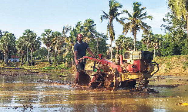 3,150 ಹೆಕ್ಟೇರ್‌ನಲ್ಲಿ ಭತ್ತ ಬೆಳೆಯುವ ಗುರಿ